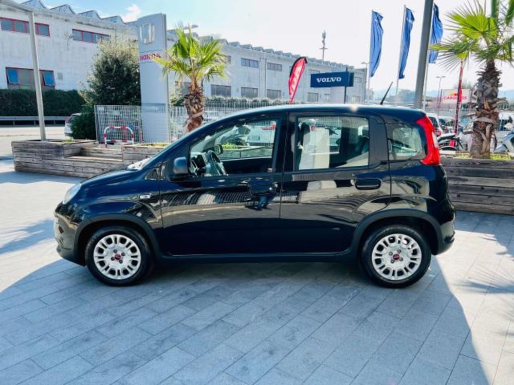 Fiat Panda usata a Savona (8)