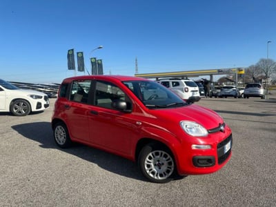 Fiat Panda 1.0 firefly hybrid s&amp;s 70cv 5p.ti del 2022 usata a Maniago