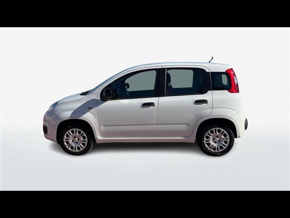 Fiat Panda usata a Lecce (11)