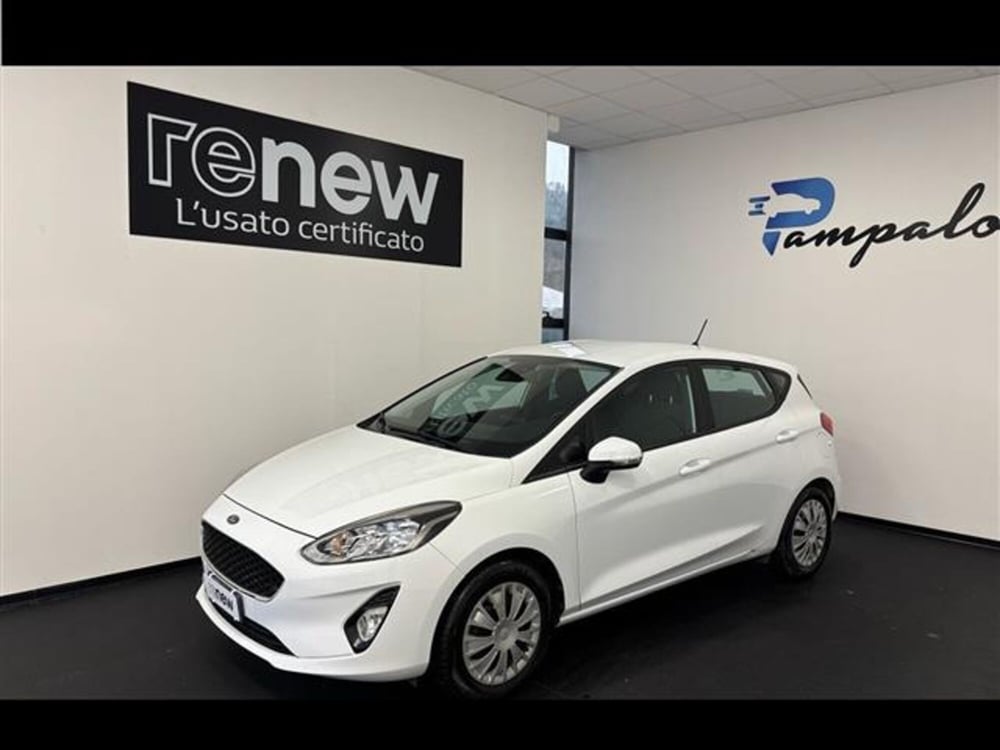 Ford Fiesta usata a Siena (2)