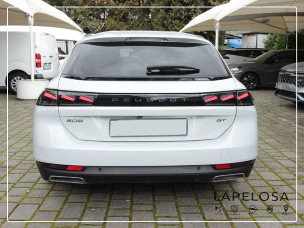 Peugeot 508 SW usata a Salerno (11)