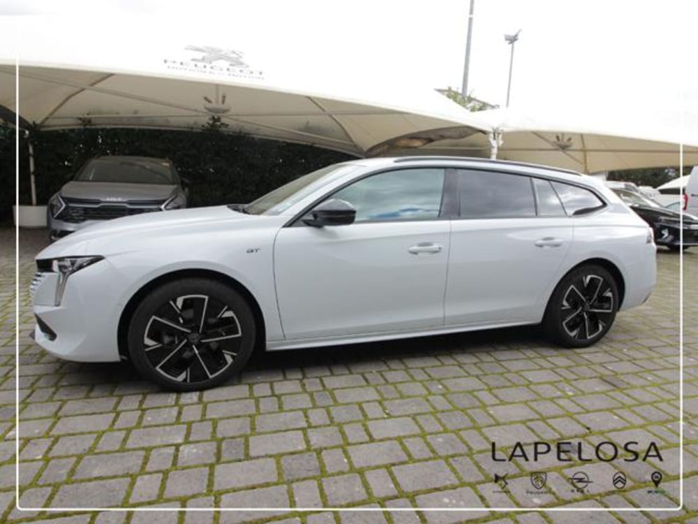 Peugeot 508 SW usata a Salerno (13)