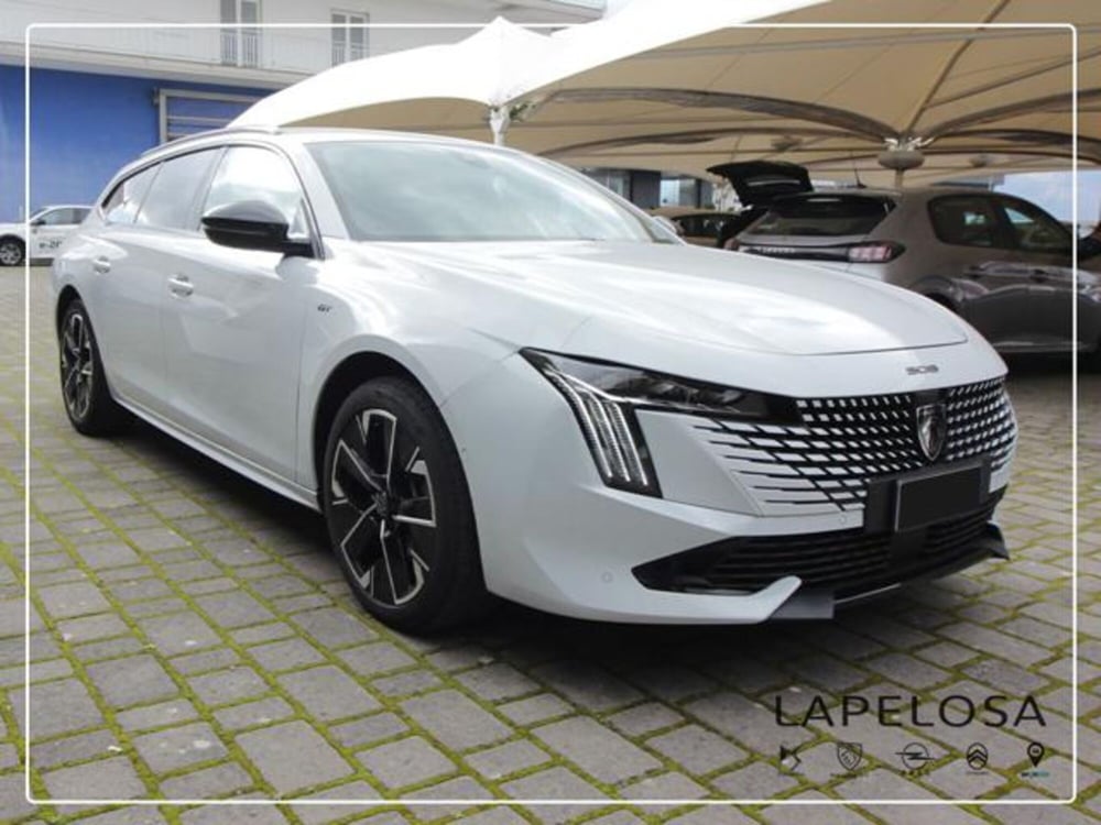 Peugeot 508 SW usata a Salerno (6)