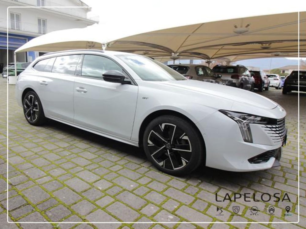 Peugeot 508 SW usata a Salerno (7)