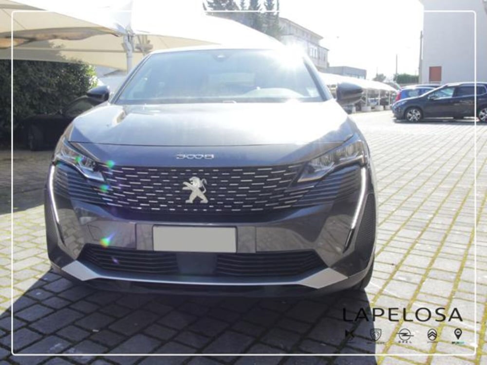 Peugeot 3008 usata a Salerno (3)