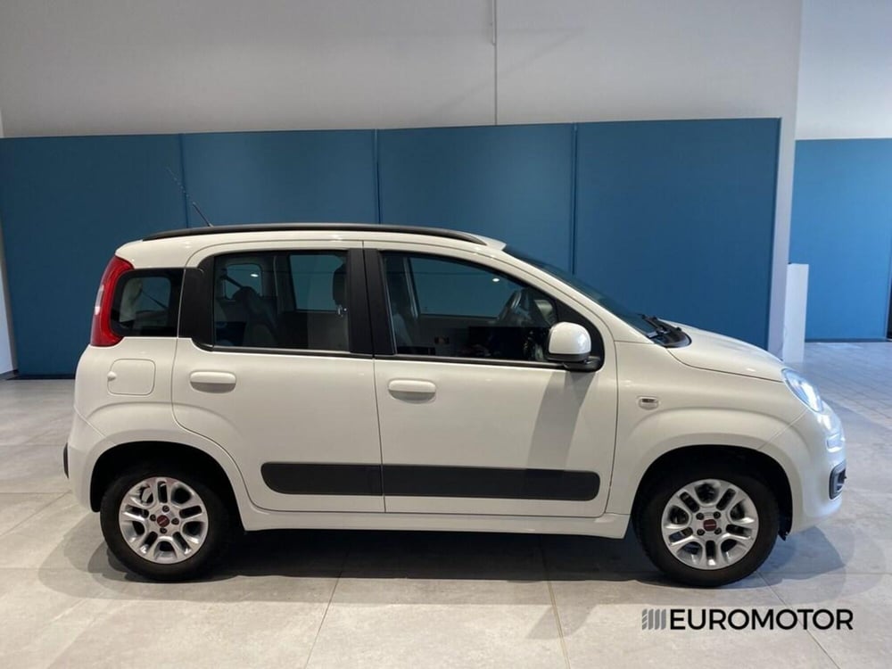 Fiat Panda usata a Bari (4)