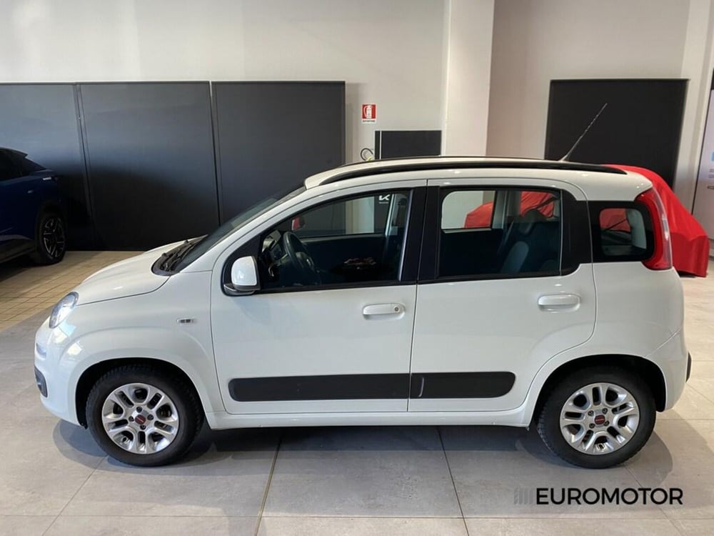 Fiat Panda usata a Bari (8)