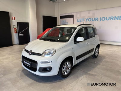 Fiat Panda 1.2 EasyPower Lounge del 2019 usata a Modugno