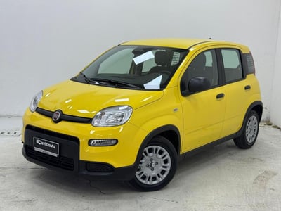 Fiat Panda Cross Cross 1.0 FireFly S&amp;S Hybrid  nuova a Lurate Caccivio