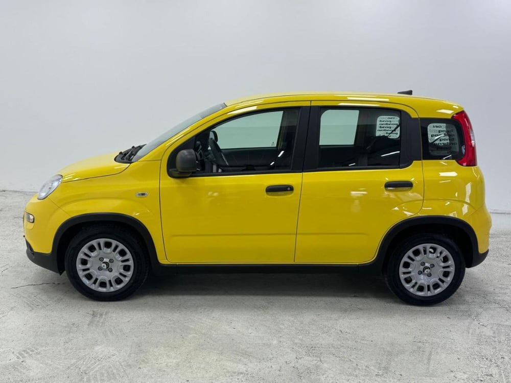 Fiat Panda Cross nuova a Como (8)