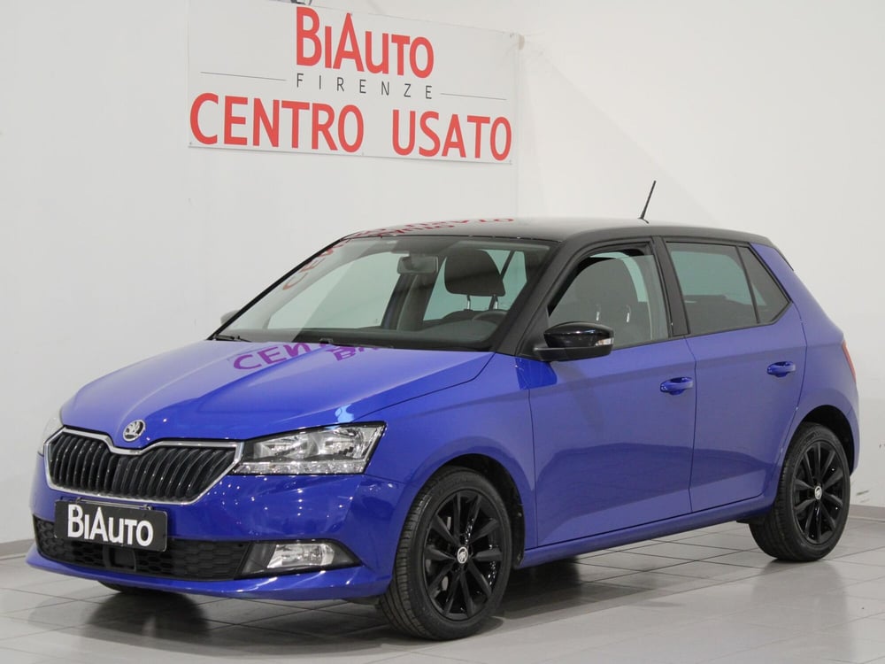 Skoda Fabia usata a Firenze