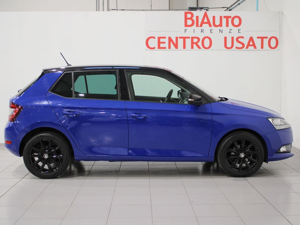 Skoda Fabia usata a Firenze (17)