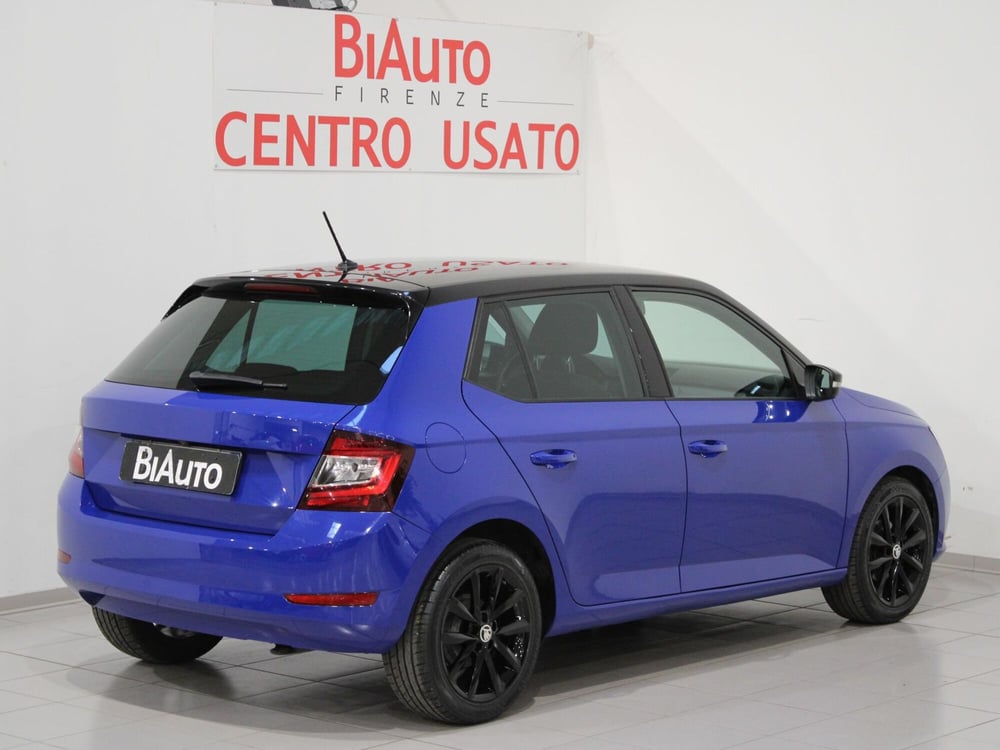 Skoda Fabia usata a Firenze (18)