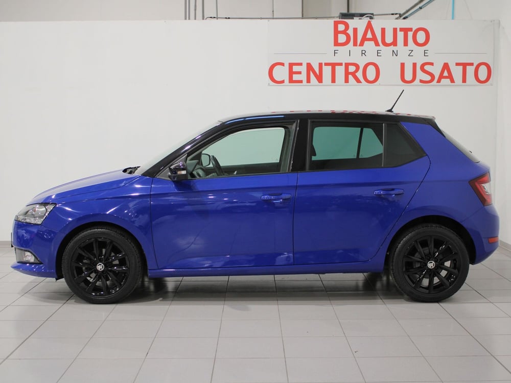 Skoda Fabia usata a Firenze (2)