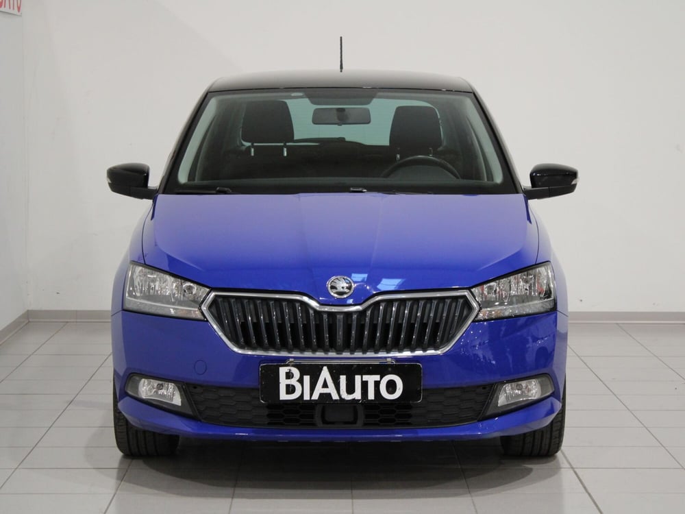 Skoda Fabia usata a Firenze (3)