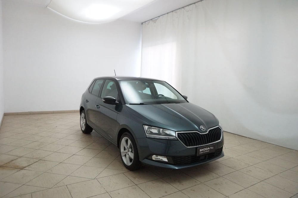 Skoda Fabia usata a Torino