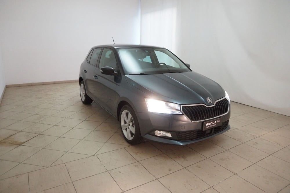 Skoda Fabia usata a Torino (20)