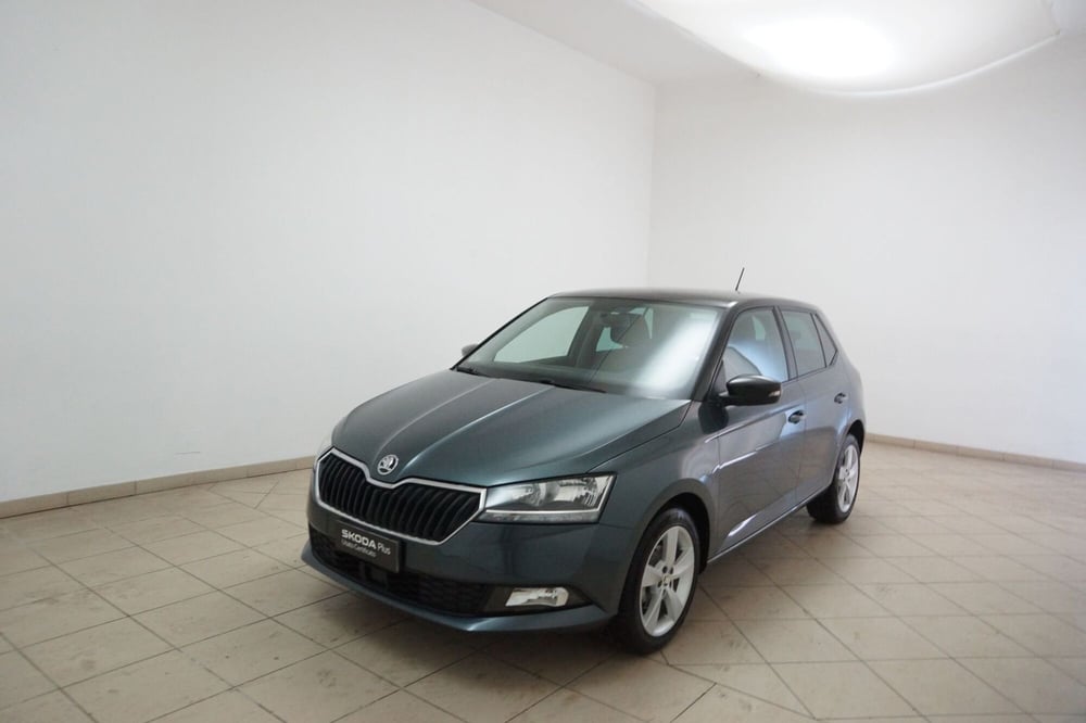 Skoda Fabia usata a Torino (3)