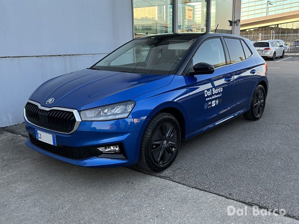 Skoda Fabia usata a Verona