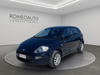 Fiat Punto 1.4 8V 5 porte Natural Power Street  del 2015 usata a Gubbio