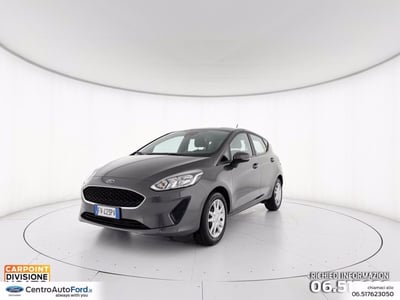 Ford Fiesta 1.1 85 CV 5 porte Plus  del 2019 usata a Albano Laziale