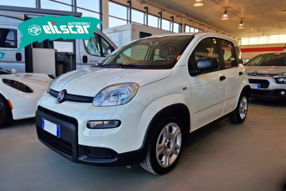 Fiat Panda usata a Verona (2)