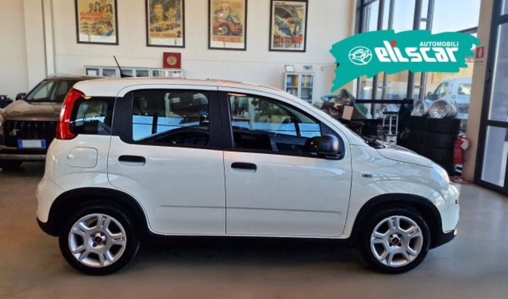 Fiat Panda usata a Verona (5)