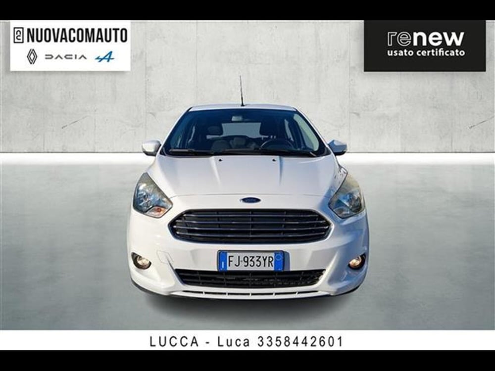 Ford Ka usata a Firenze (2)