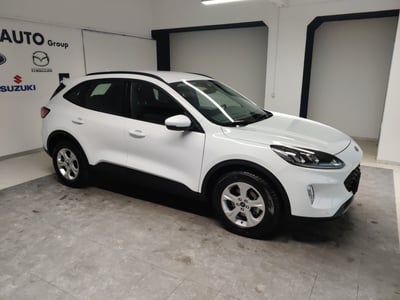 Ford Kuga 1.5 EcoBlue 120 CV 2WD ST-Line  del 2022 usata a Arezzo