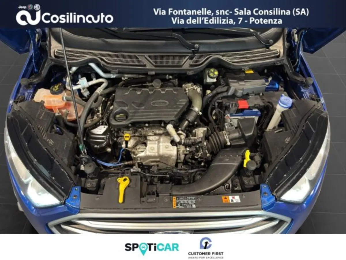 Ford EcoSport usata a Salerno (18)