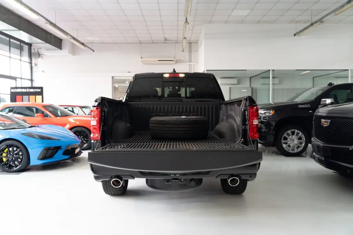 Ram Ram Pick-up nuova a Monza e Brianza (6)