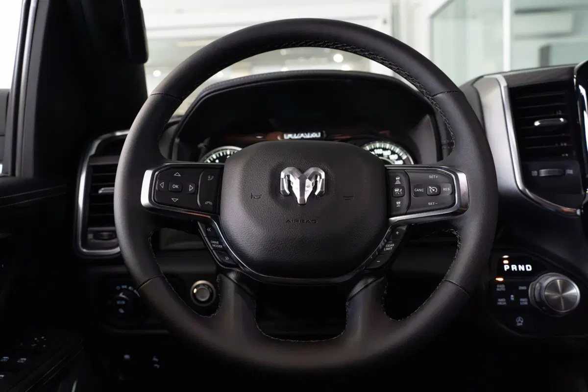 Ram Ram Pick-up nuova a Monza e Brianza (9)