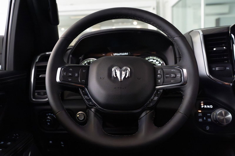 Ram Ram Pick-up nuova a Monza e Brianza (9)