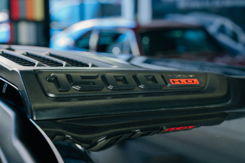 Ram Ram Pick-up nuova a Monza e Brianza (19)