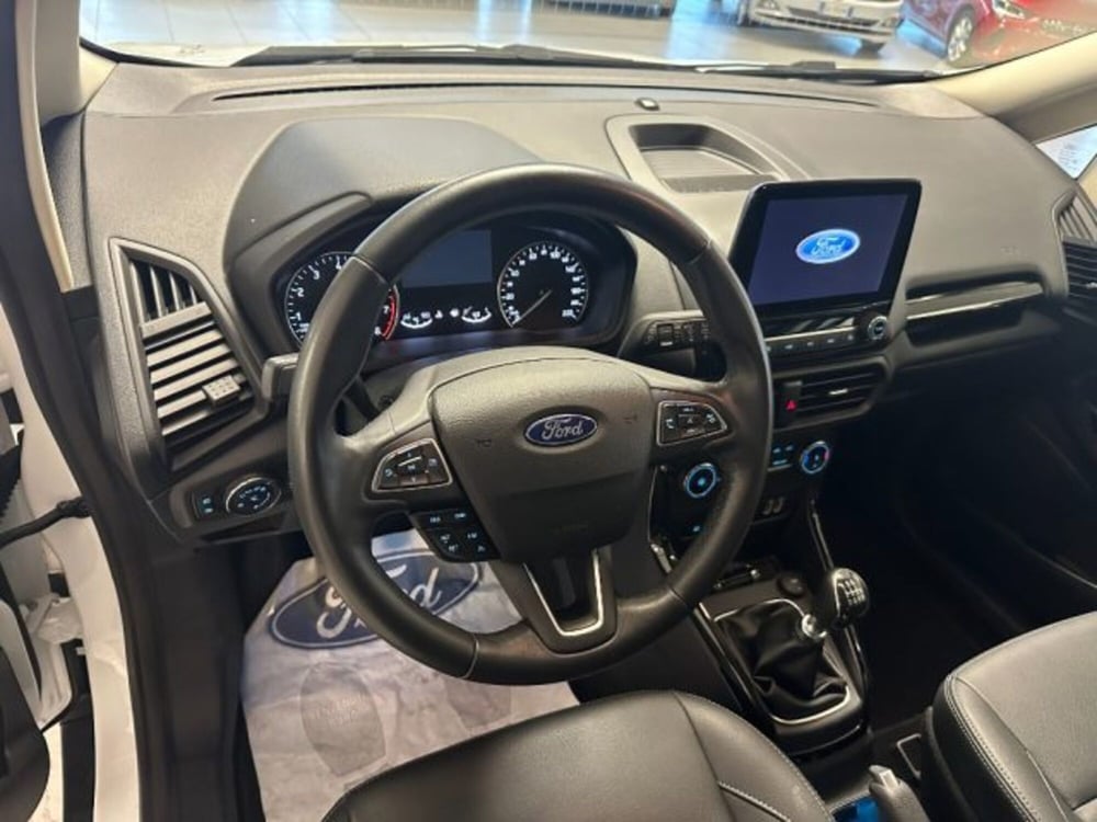 Ford EcoSport usata a Cuneo (10)