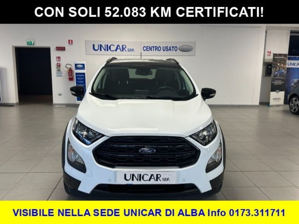 Ford EcoSport usata a Cuneo (2)