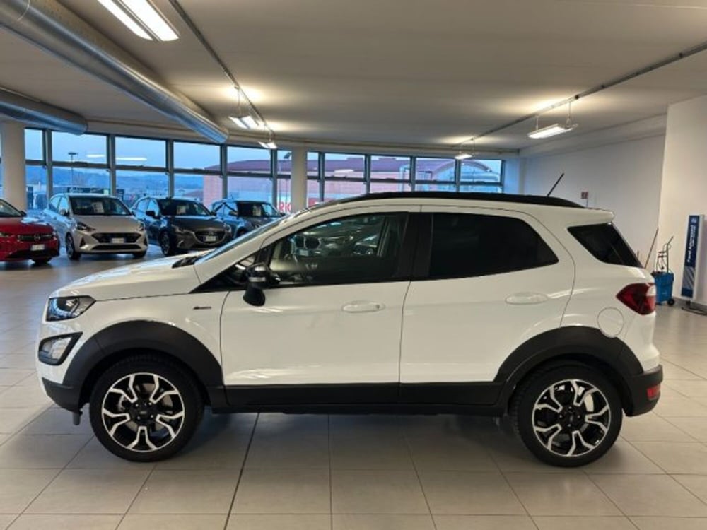 Ford EcoSport usata a Cuneo (4)