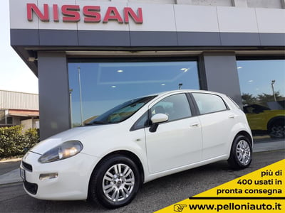 Fiat Punto 1.4 8V GPL 5 porte Van Pop 4 posti  del 2013 usata a Modena