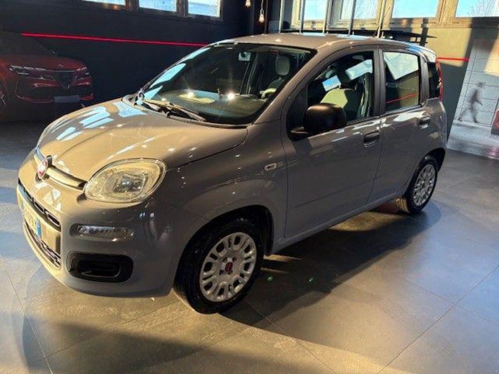 Fiat Panda usata a Modena (2)