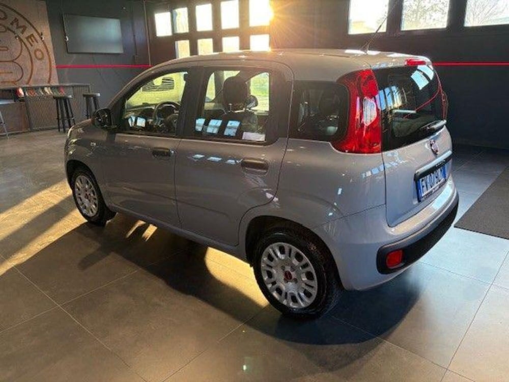 Fiat Panda usata a Modena (3)