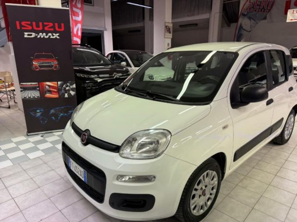 Fiat Panda usata a Siena (2)