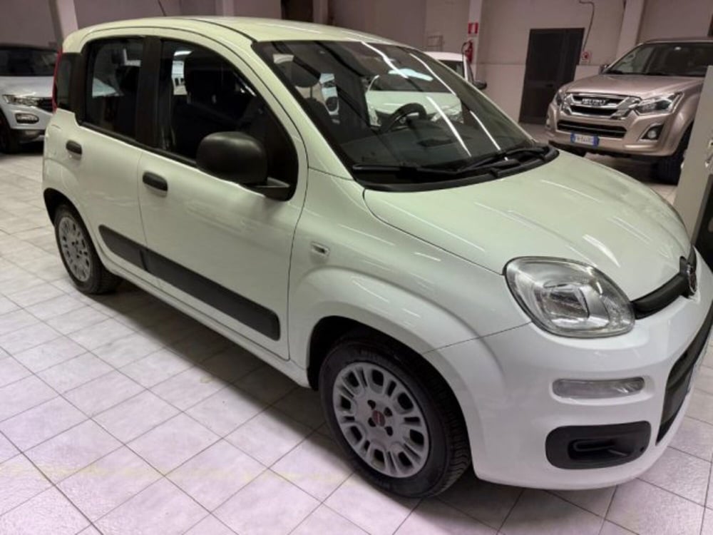 Fiat Panda usata a Siena (3)