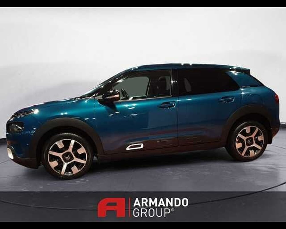 Citroen C4 Cactus usata a Cuneo (8)