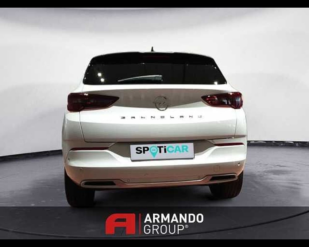 Opel Grandland X usata a Cuneo (13)