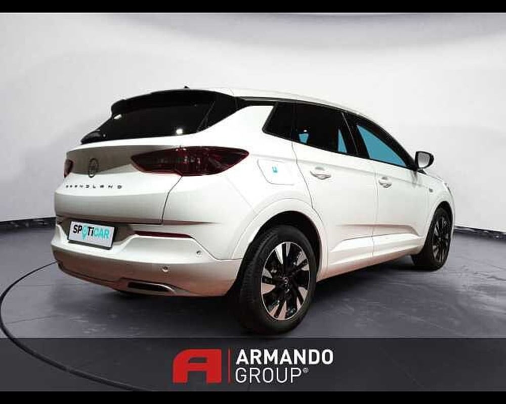 Opel Grandland X usata a Cuneo (14)