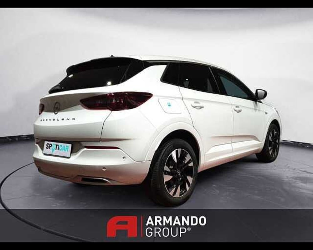 Opel Grandland X usata a Cuneo (15)