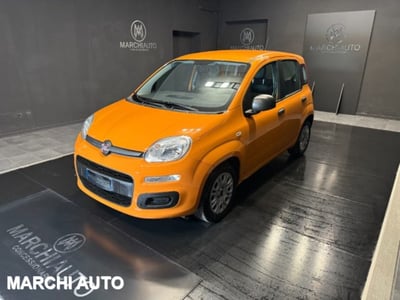 Fiat Panda 1.0 firefly hybrid s&amp;s 70cv 5p.ti del 2020 usata a Bastia Umbra