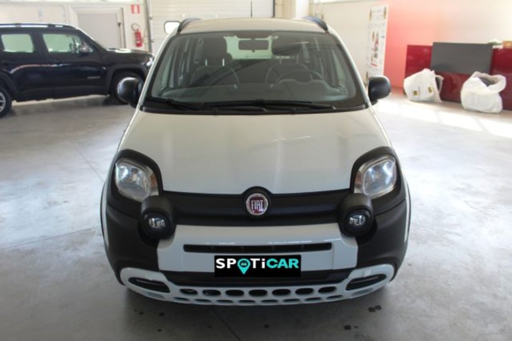 Fiat Panda usata a Terni (2)