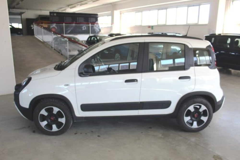 Fiat Panda usata a Terni (3)