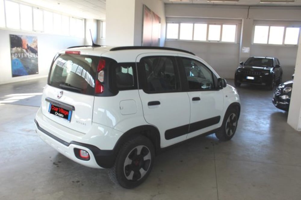 Fiat Panda usata a Terni (4)